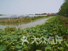 真实实案例：2021年花博会门票降价风波