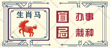 属兔7月和11月运势及事业运程分别如何？