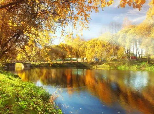 风水布局在深秋季节的调整策略与理论依据