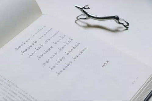 沈家起名背景