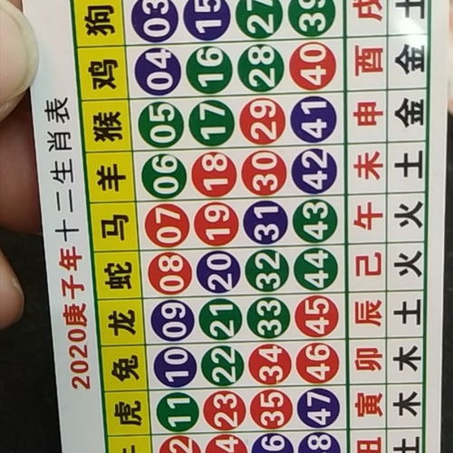 2026版十二生肖表彩图中的12个生肖图片代表什么？