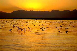 那个嘎子村到底是啥玩意儿