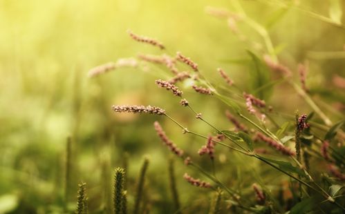 哪个星座习惯独来独往，不太合群呢？