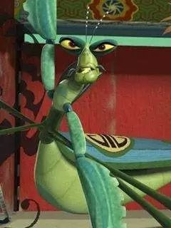 少年功夫生肖和武功高强生肖分别是什么？