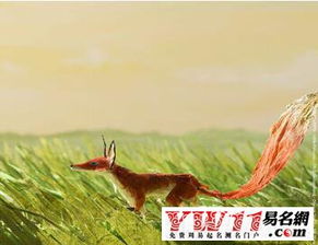 生肖狗(狗?忠诚的朋友?)