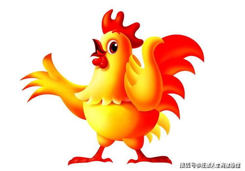 属鸡人2026年底运势和2028年全年运势具体如何？