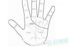 四、  面相学与手相学的生理特征映射