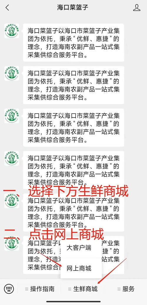 海南海口有哪些地方算命起名最灵验？