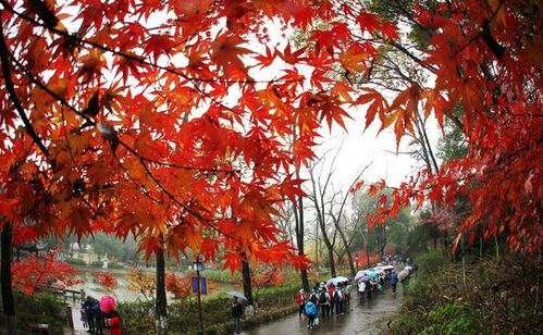 从“摄山”到“门票刺客”：栖霞山的市场价格变迁史，  你未必了解