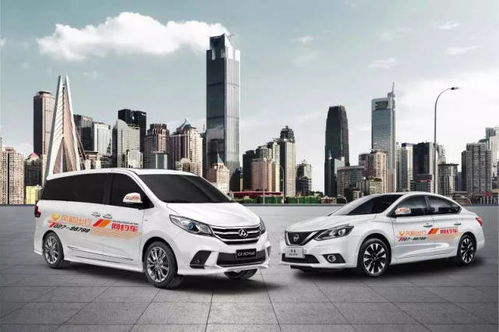 跨年度比较及案例引用