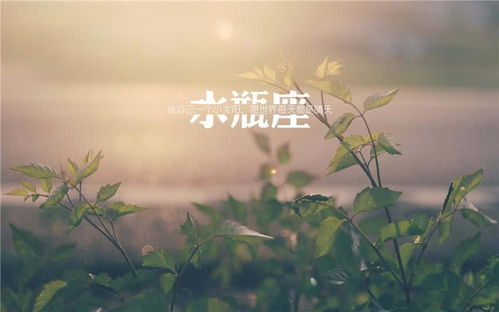 二、水瓶座：理性沉着的独立思考者