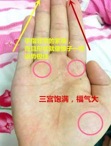 掌型、 肤色与财运：综合评估财富潜力的重要维度