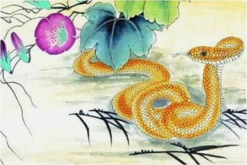 五、 农历五月诞生的生肖蛇