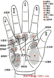感情线的深度解析：情感体验与人际关系