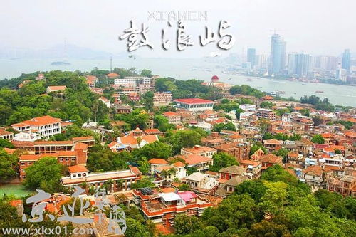 五、 住宿大杂烩——从廉价到奢华，应有尽有！ 🏨🏨🏨