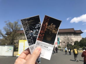 5. 避开高峰期——人少景美梗好拍，还嫩顺手抢早鸟价！🌅🌄🌇