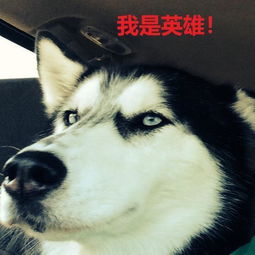 灵魂伴侣概念的文化底蕴阐释与实践意义