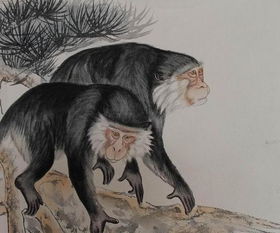 生肖猴：机智与反叛精神的另类诠释