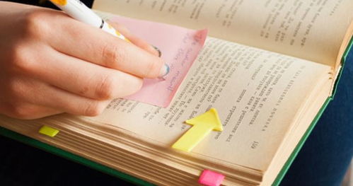 2. 学习措施的基础性作用