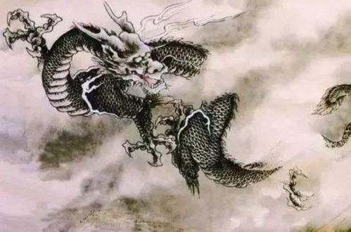 1. 属鸡男女：六合龙位红鸾相助