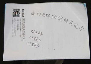 ：成功创业后仍笼罩于恐慌之阴影的现象概述
