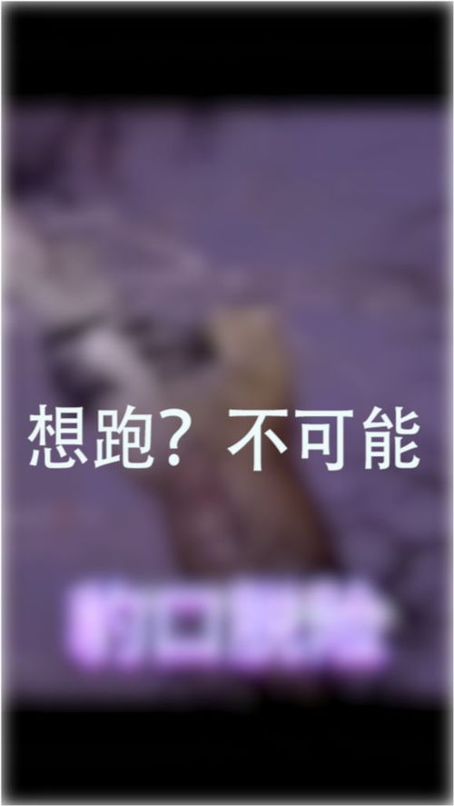最终还是结果是呈现：具备“给点颜色就能开染坊”特征的五较大星座