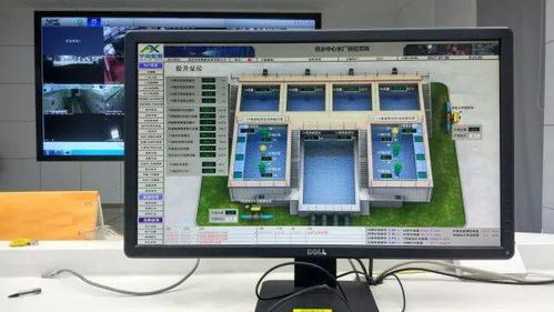 冲煞与禁忌解析