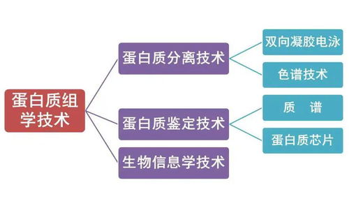 四、  高效入门的学习路径与文献综述