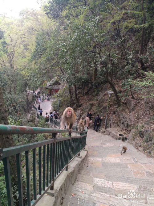 一、 黔灵山这个名字到底好在哪儿？（深度拆解篇）