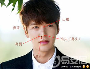 鼻子直得像尺子