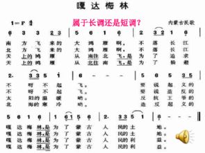 二、 昵称与命名中的“清音”：传递品味的基石