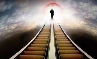 四、 供奉亡灵的具体做法及其心理效应