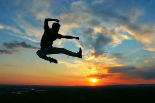 生态共生图景的动态展示