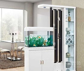 玄关柜风水摆放青蛙合适吗？有什么讲究？