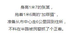 ：从路旁橘树屋至高空飞翔的象征意蕴探析
