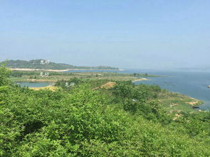 龟背案山的庇佑：长寿贤达的摇篮