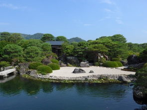 #湿地里的鸟语#