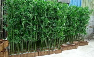 哎呀妈呀！竹子风水帘这东西也太神奇了吧