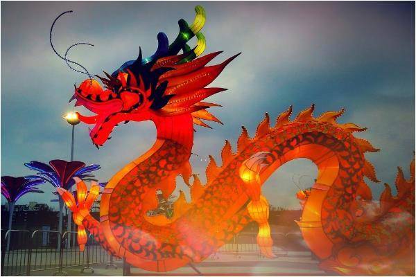 2025年属龙人适合在何处开展什么类型的生意？