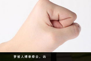 周公解梦较大全：更多元化的解析视角
