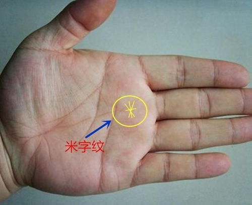 2. 手掌红润有光泽 versus 手掌中部苍白发硬之差异