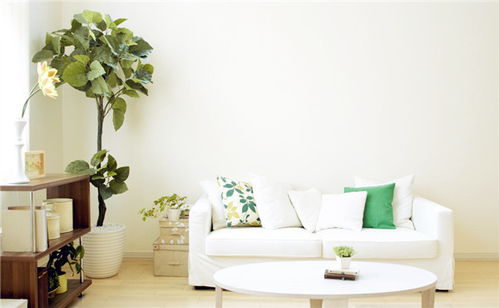 二、 风水画摆放的位置：吉位为先