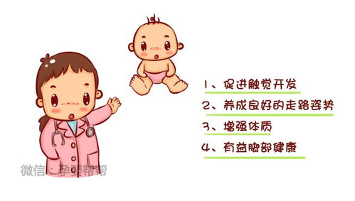 一、 背景与探究意义