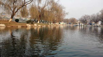 震惊！浦园其实是外星基地？