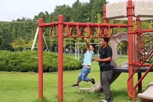 OMG！崇明公园爆炸性新闻！2026年龙年必去打卡地！