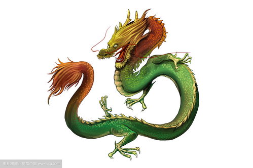 2026年属龙人的健康运势如何？运势解析有哪些要点？