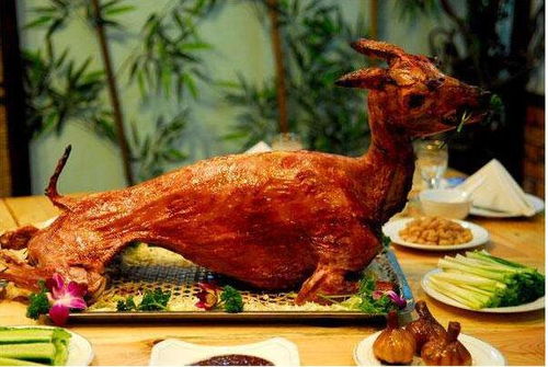 6-8月的魅力：绿野仙踪 vs 人山人海