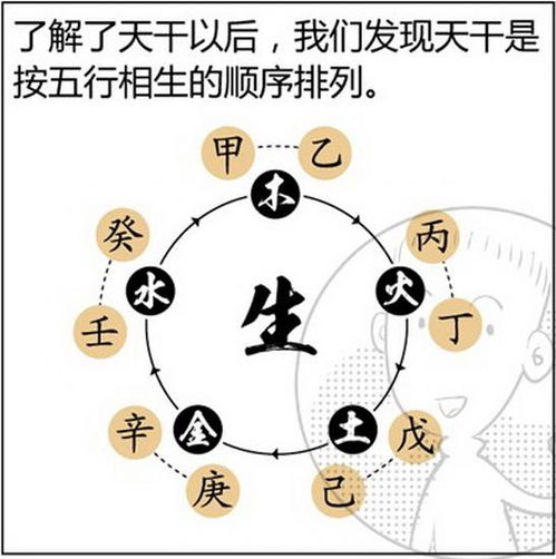 生辰八字：玄学的东西也得了解点