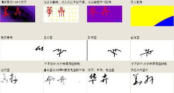 基于生肖、 星座及风水理论的命名提议体系