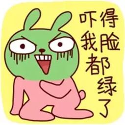 相关衍生视频及互动评论概述